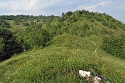 88 Sul sent. 531 con vista verso la Stalla Fopp